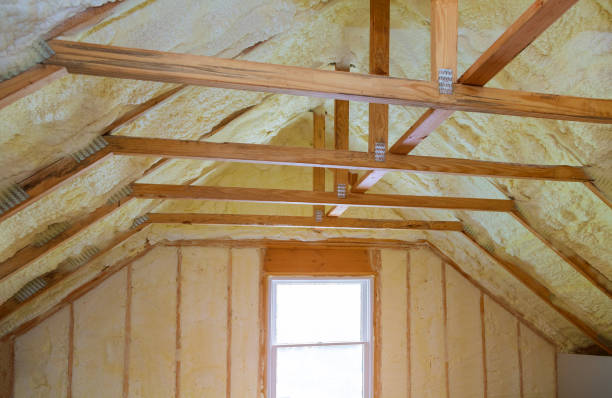 Best Cellulose Insulation in Sheridan, WY