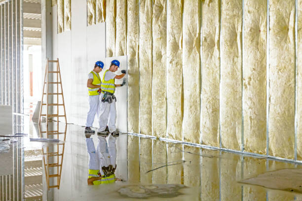 Best Cellulose Insulation in Sheridan, WY